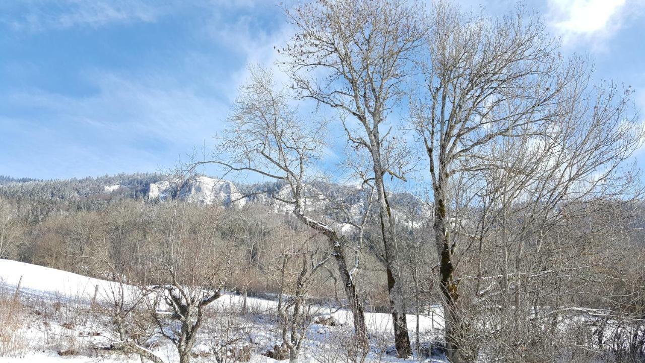 Maison D'Hotes Agathe Et Sophie Lans-en-Vercors Exterior foto